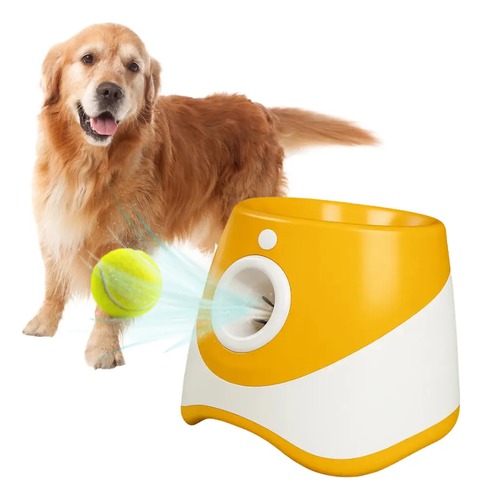 Golden retriever a brincar com lançador automático de bolas laranja